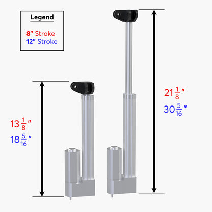 Self-Leveling Bed System